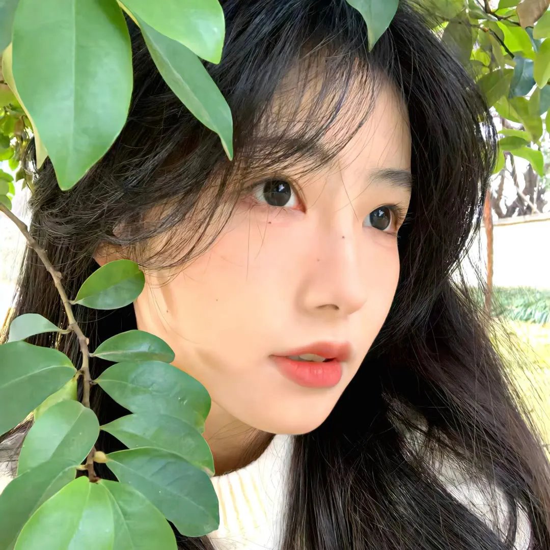 文森特要看海